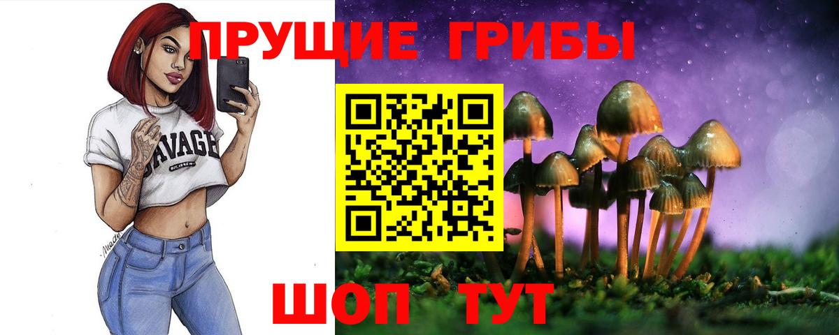 Галлюциногенные грибы прущие грибы  Вход с VPN  Вятские Поляны 
